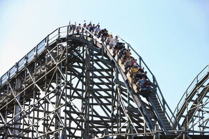 Private Everland Theme Park Tour