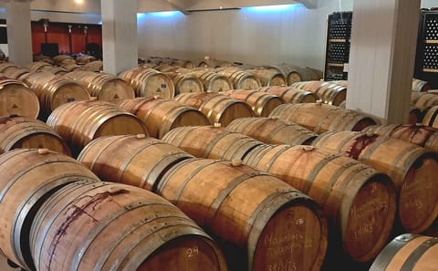 Cretan Wine, Raki, and Olive Oil Tasting in Heraklion