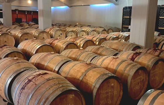 Wine Raki and Olive Oil tasting in Heraklion