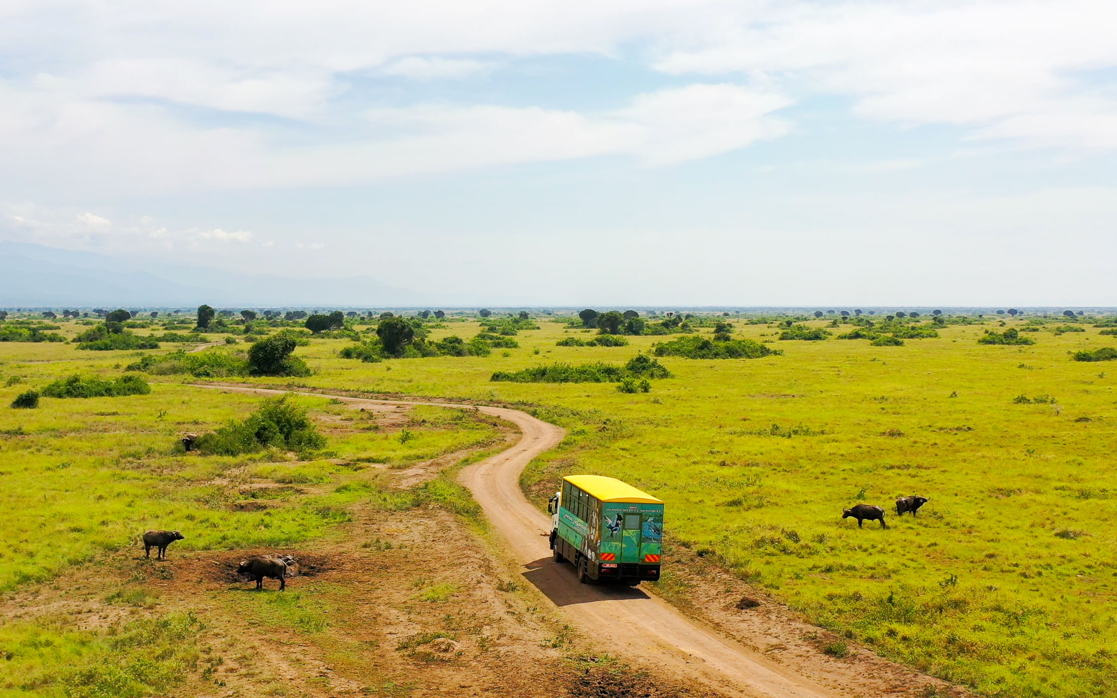 6-Day Coffee Tour, Jinja, Sipi and Kidepo Valley National Park Safari