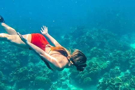 Tropical Rush: Maya Bay, Phi Phi & Khai Island Snorkel Escape