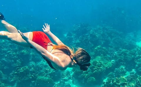 Snorkeling Adventure at Maya Bay and Phi Phi Islands