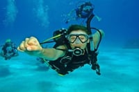 Full Day Coral Garden Snorkeling &amp; Diving with Lunch : Marsa Alam