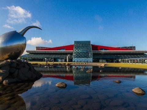 Private Transfer Keflavik/Reykjavik–Blue Lagoon, Silica & Retreat, photo 5