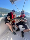 Cod & Chill: Arctic Fishing in Tromsø 5