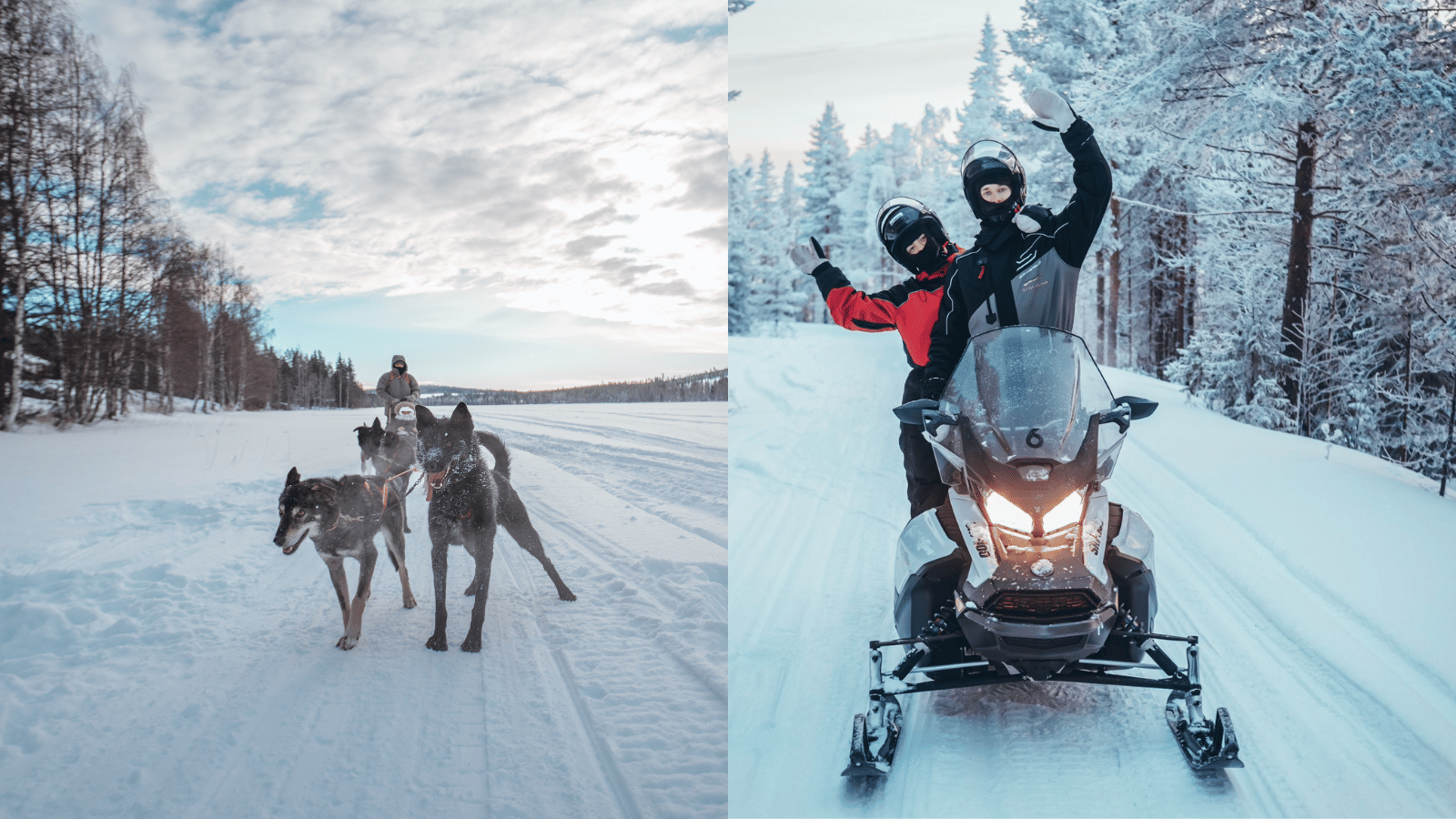 Guests enjoying husky sledding and snowmobiling during StayLapland's Kuoksa Husky & Snowmobile Adventure in Rovaniemi.