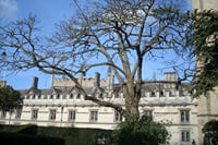 Inklings Oxford Writers Tour