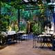 Premium Argentine Wine Tour and Gourmet Tasting