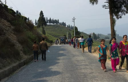 7 days Short Hike & Getaway to Ilam Tea Garden