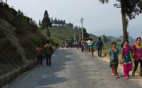 7-Day Hiking and Cultural Tour of Ilam Tea Garden