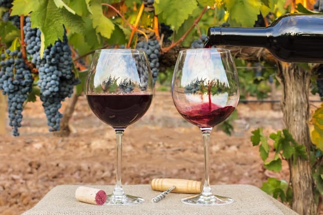 Travel in a hot air balloon and  good wine in Casablanca valley 5