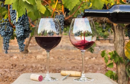 Hot Air Balloon Ride and Wine Tasting in Casablanca Valley