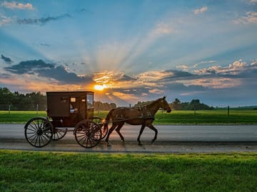 Philadelphia and Amish Country Day Tour from New York