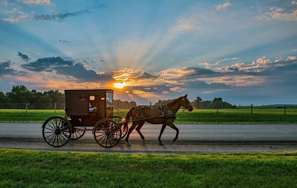 Excursion to Philadelphia and the Amish Region from New York