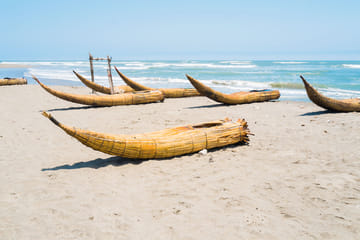 Pimentel Coastal Tour and Ostrich Farm Visit from Chiclayo