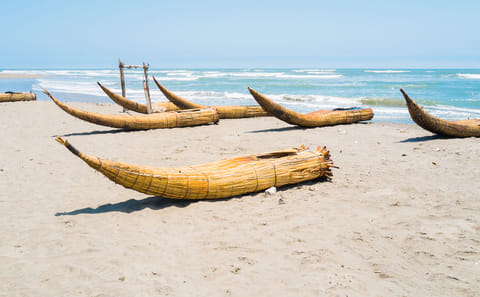 Pimentel Coastal Tour and Ostrich Farm Visit from Chiclayo