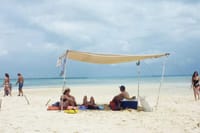 Private Full-Day Cruise on Sandbank and Kwale Island 3