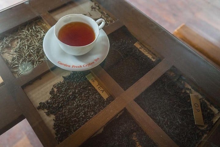 Tea Plucking & Tea Factory Tour