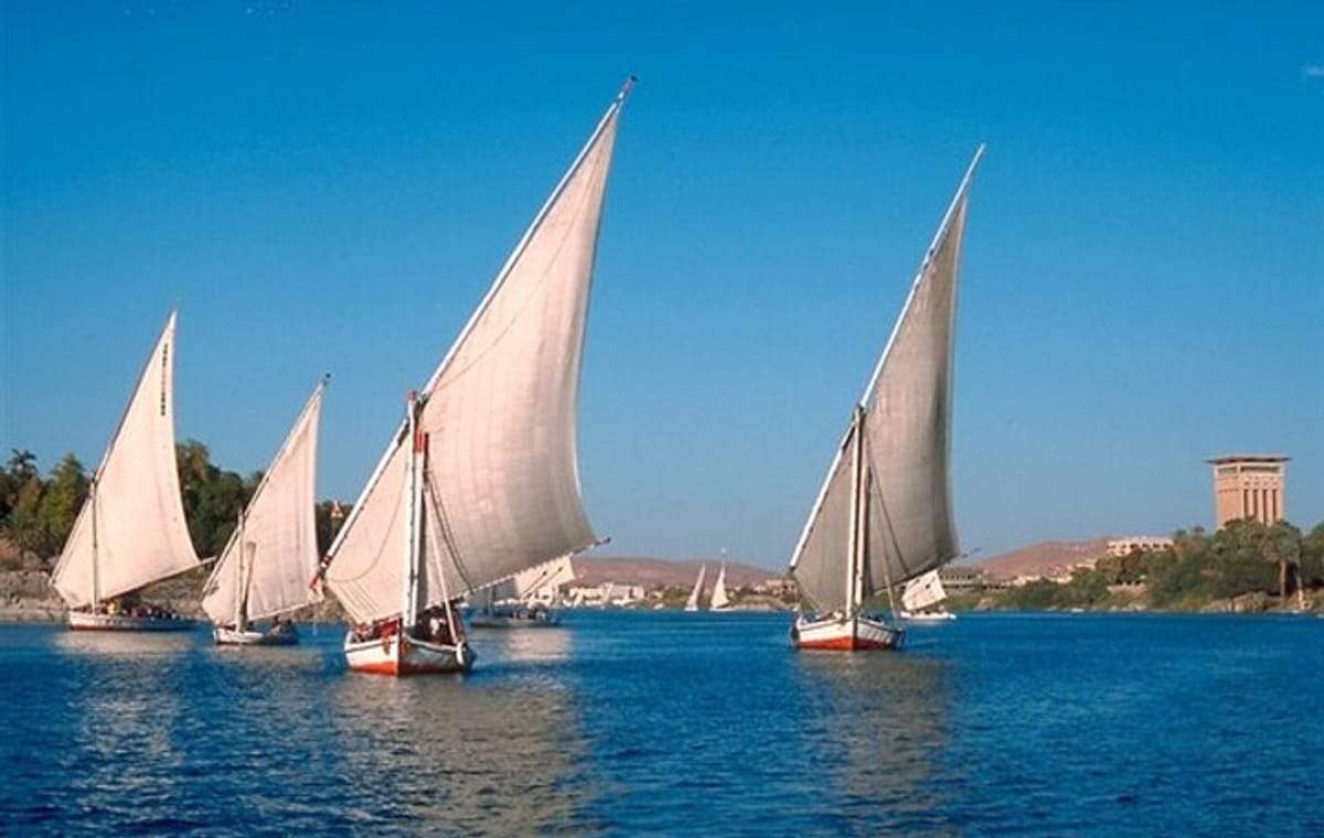 Aswan Botanical Garden Tour and Felucca Sailing Experience