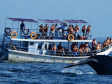 Whale Watching Tour from Hambantota to Mirissa, Sri Lanka