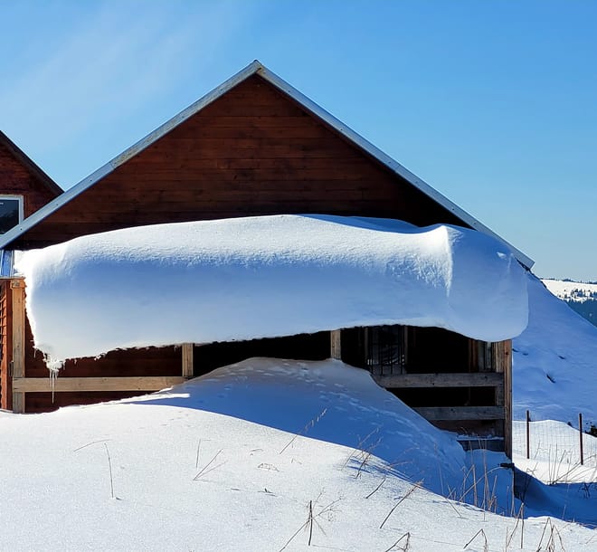 Snowshoeing Fun Tour from Cluj Napoca photo 6