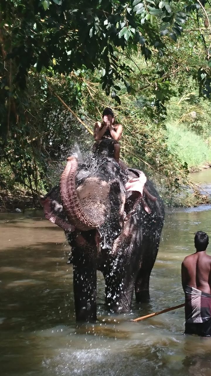 Ceylon Happy Holidays