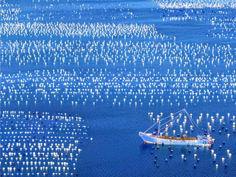 Shengsi Island Hopping 4-Day Private Tour: Huaniao, Gouqi & Shengshan