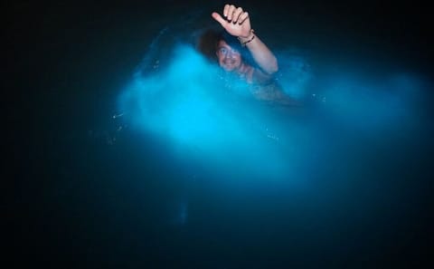 Bioluminescence Lagoon Tour in Falmouth from Montego Bay