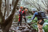 Canyoning in the Rainforest 7