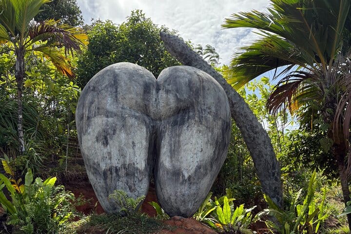 The Famous "Coco de mer" plant at the Valle des fruits