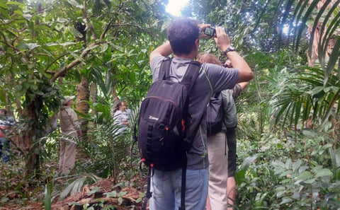 Ngezi Forest Tour: Pemba’s Ancient Rainforest Reserve