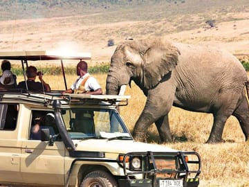 12Days Best of Kenya and Tanzania Wildlife Safari