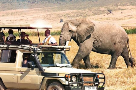 6 Days Northern Circuit Camping Safari in Tanzania