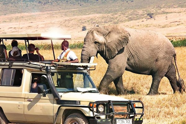 Things to do in Arusha