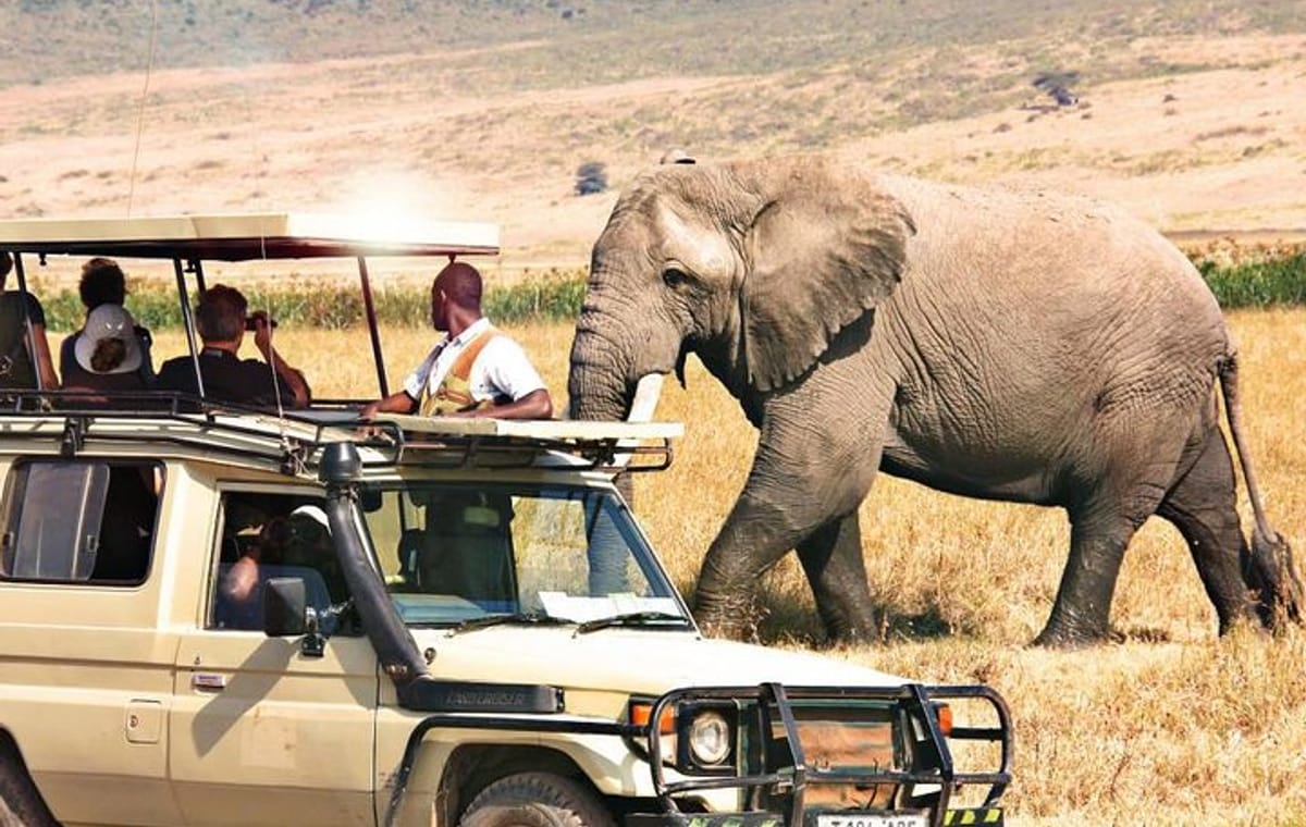 6 Days Northern Circuit Camping Safari in Tanzania