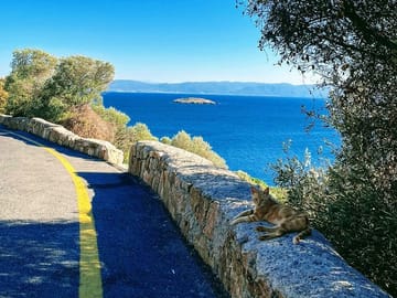 A great location to escape the hustle and bustle of the city.