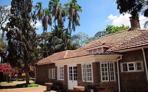 Day Tour Giraffe Center, Karen blixen and Lunch at Carnivore