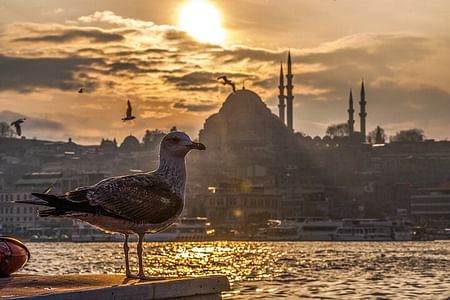 Istanbul Highlights Private Guided Tour: Explore Iconic Sites & Culture