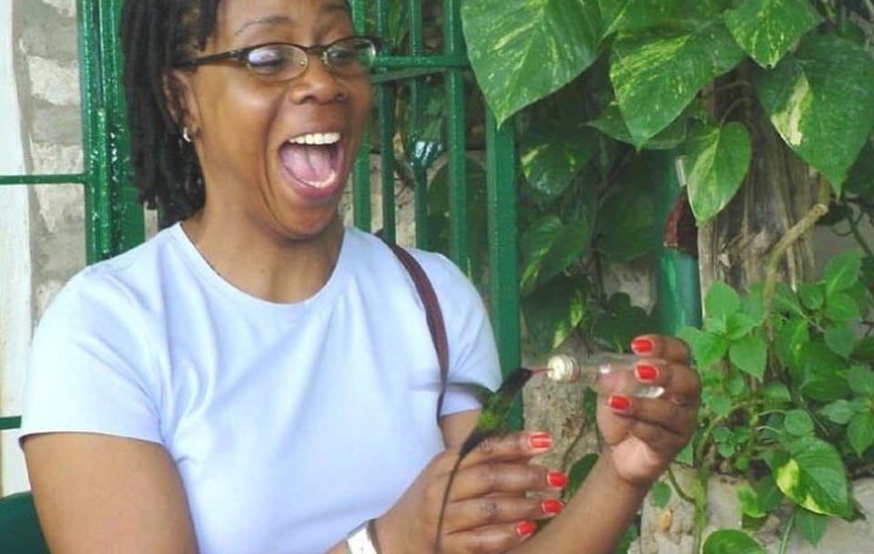Rocklands Bird Sanctuary and Montego Bay City Highlights Tour