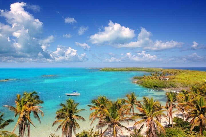 Paradise Islands Tour: Isla Contoy and Isla Mujeres 5