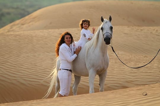 2 Hours Desert Horse Riding Adventure with Transfer - Marsa Alam