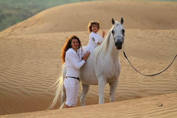 2 Hours Desert Horse Riding Adventure with Transfer - Marsa Alam