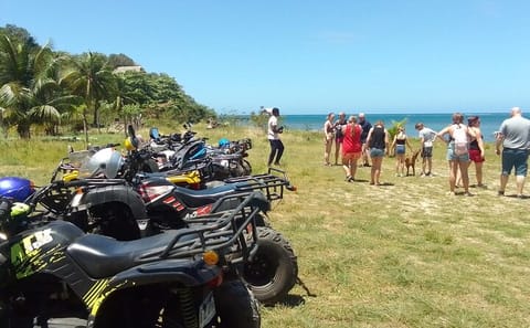 ATV Adventure and Mangrove Tour with Local Food Tasting in Honduras