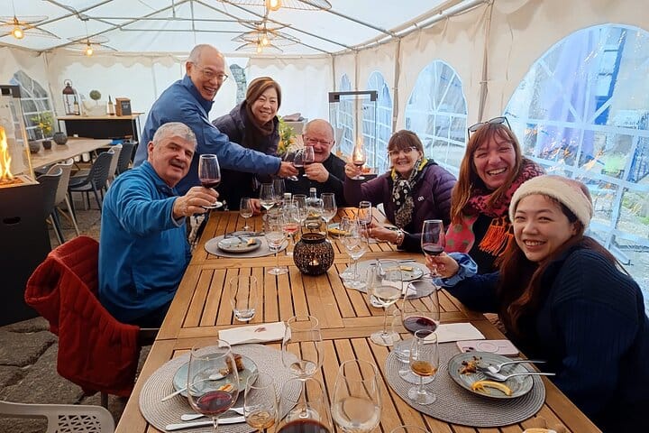 DOURO VALLEY: Premium Wine Tour, Lunch at Winery & Private Cruise