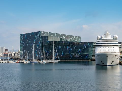 Keflavik Airport Transfer to Reykjavik Cruise Port, photo 4
