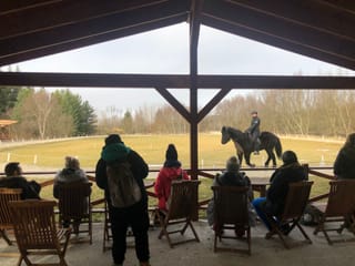 Golden Circle Small Group Tour with Friðheimar Farm Visit, photo 11