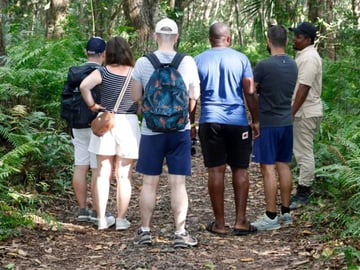 Jozani Forest walk