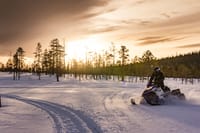 Snowmobile Whole Day Adventure - Small Group 3