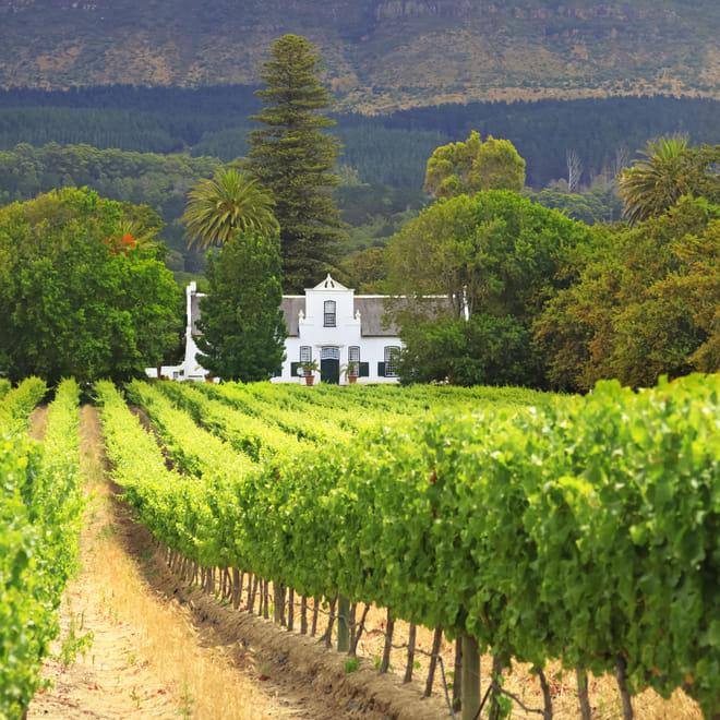 Best of Cape Town 6