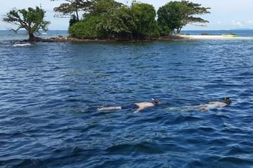 Phu Quoc Pro-Guided 1Day Tour Coral Reef Diving